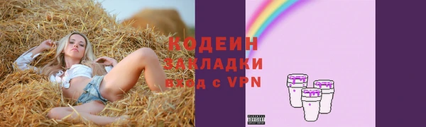 СК Анива