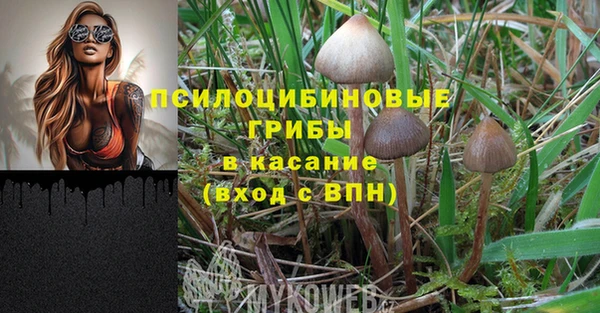 герыч Анжеро-Судженск