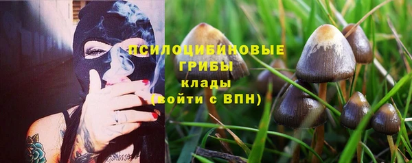 герыч Анжеро-Судженск