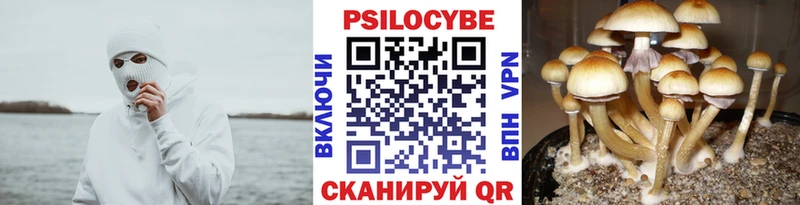 Галлюциногенные грибы ЛСД  Купить  Александров 